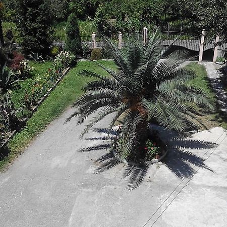 גוניו Guest House Vitali מראה חיצוני תמונה