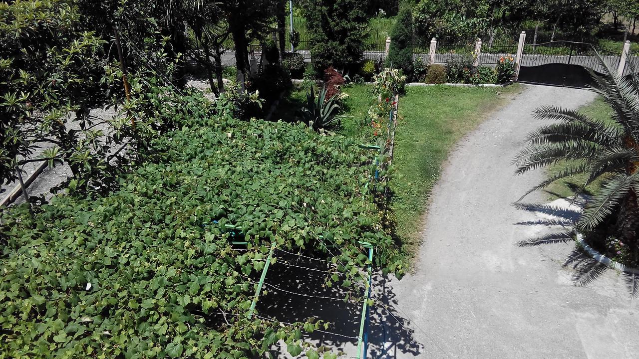 גוניו Guest House Vitali מראה חיצוני תמונה